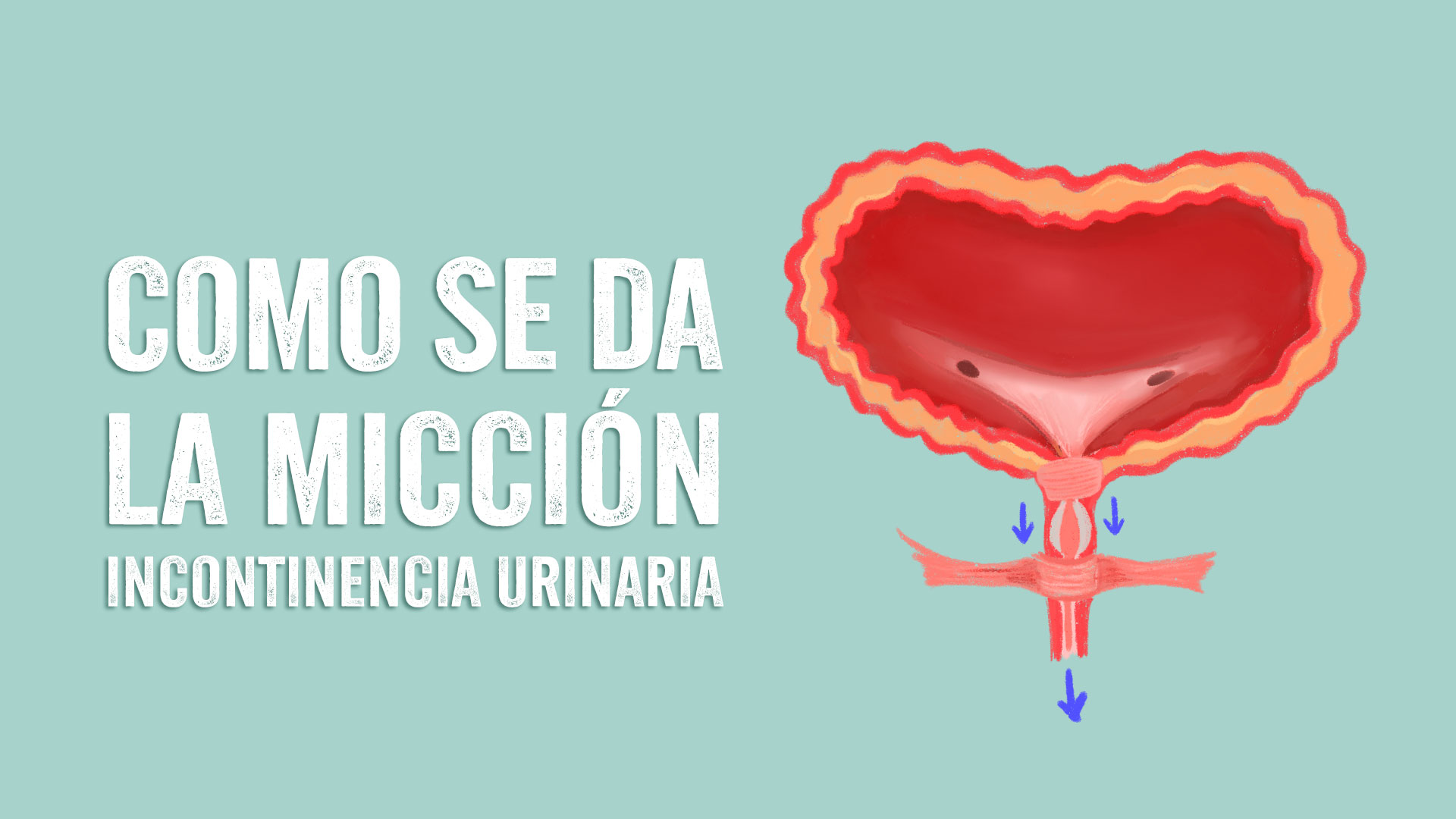 Micción de vejiga Centro Sacre